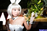 Cosplay Japanese Girls 1277