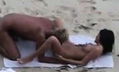 Beach Couple Sucking And Fucking