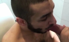 Hairy gay penetrates stud asshole